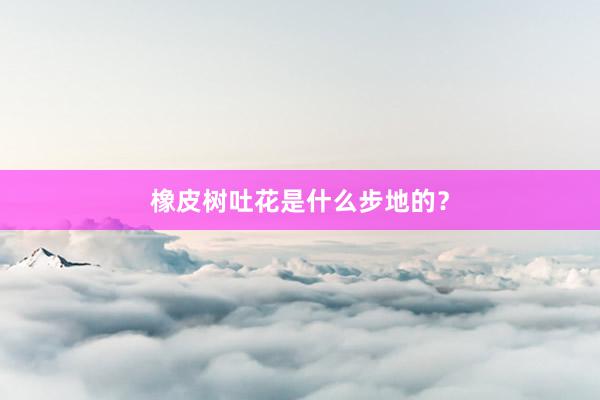 橡皮树吐花是什么步地的？